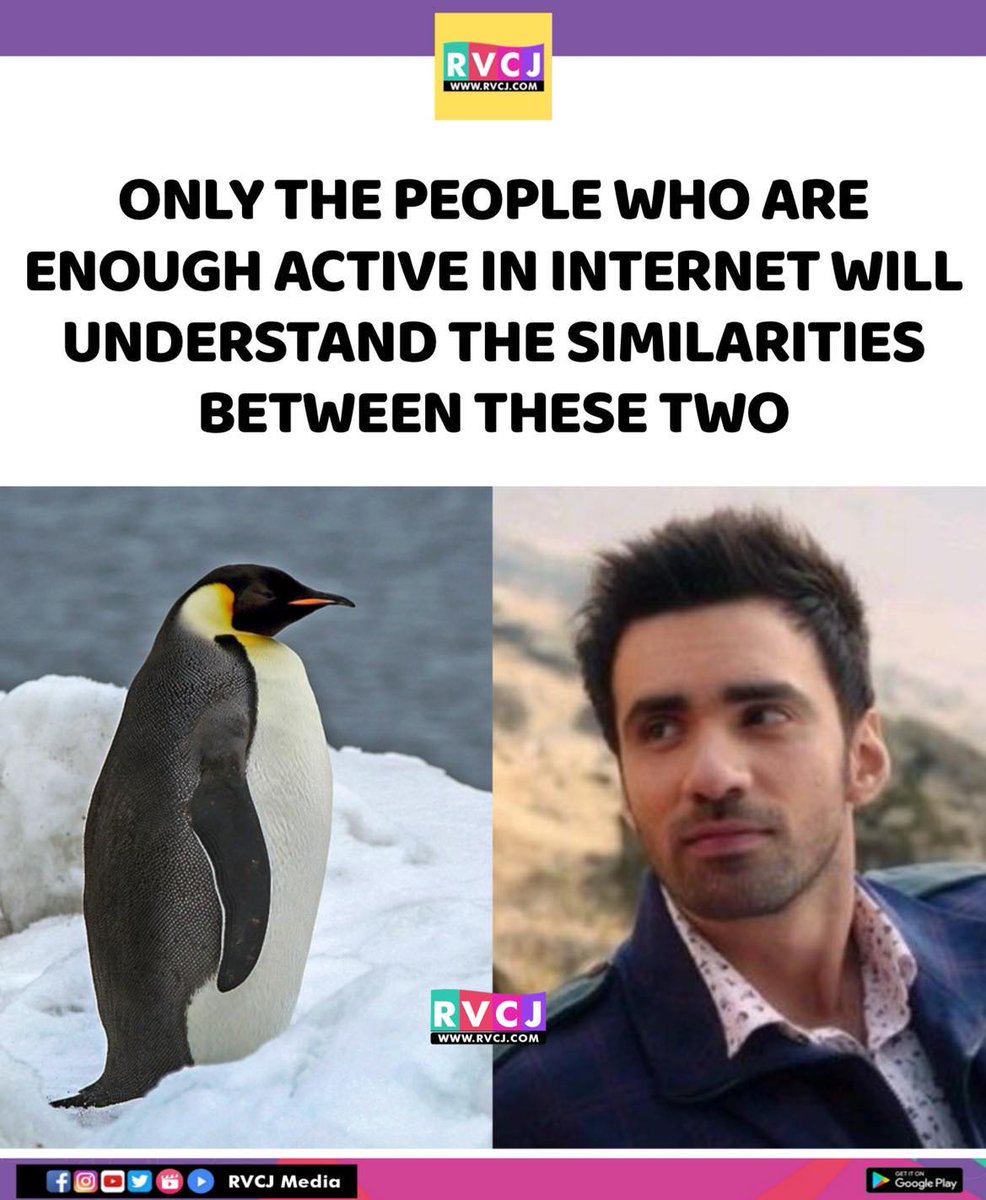 RVCJ_FB's tweet photo. If you know. You know. 🐧 https://t.co/adoiEGGKgE