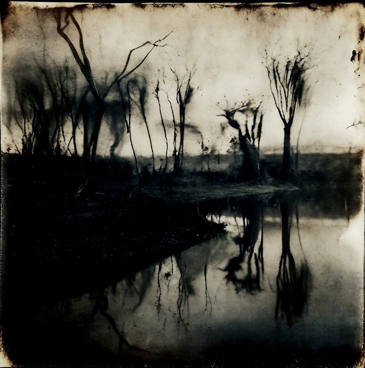 monoeilblog's tweet photo. Chris Friel
#photo #photography #chrisfriel https://t.co/3UM8g2s08P