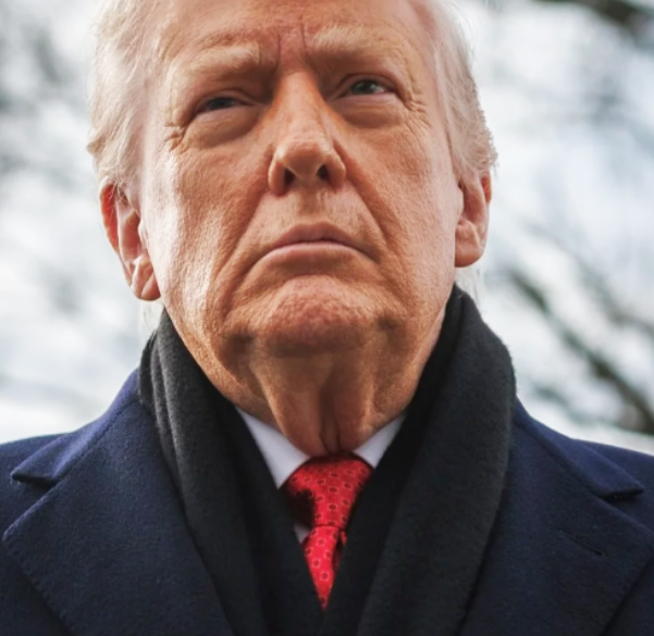 Governor Newsom Press Office (parody) tweet media