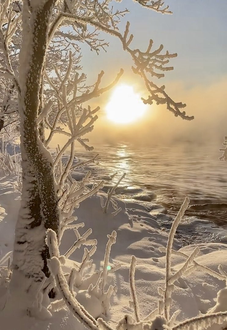 Winter nature breathes quietly. 
The day awakens and heart knows, 
the light is coming.
The snow carries light hopes, 
every breath of nature is a promise
of something gentle.
And in that moment, 
I dare to believe again: 
Everything begins here, 
from this beautiful moment ☀️