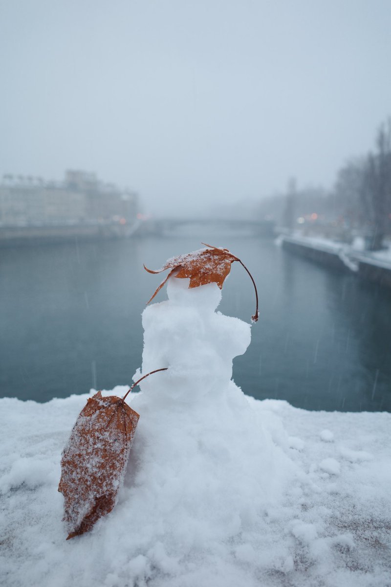 Diego Pulido tweet media