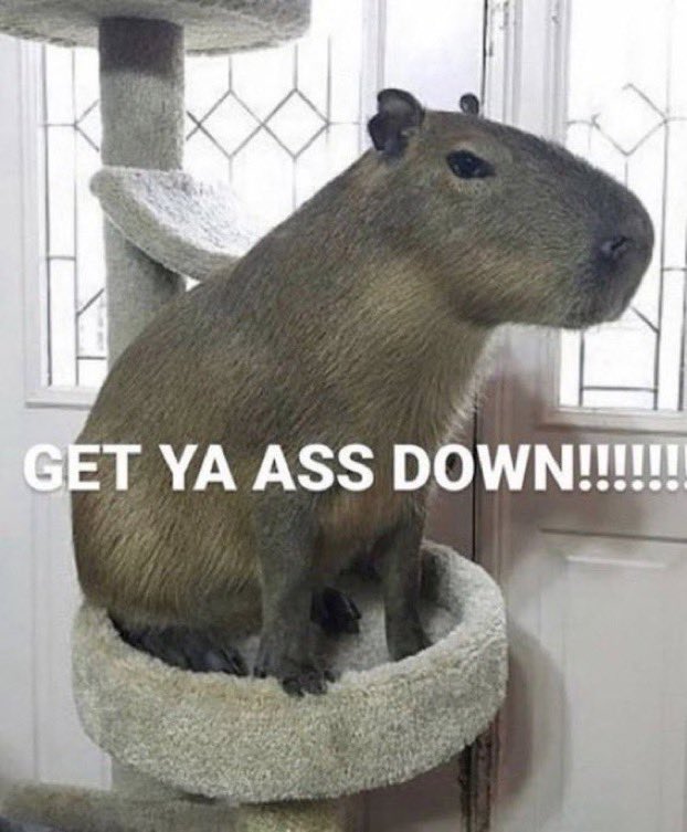 julia (@ioversue) on Twitter photo 