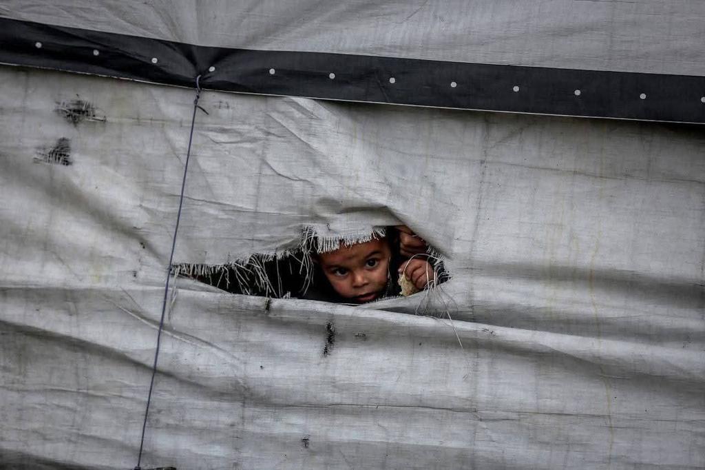 PalPress24's tweet image. I speak to you from my tent in Gaza…
from cold, fear, and an endless waiting.
If our voice has reached you,
write the name of your country in the comments…
so the world knows we are not alone. 🇵🇸