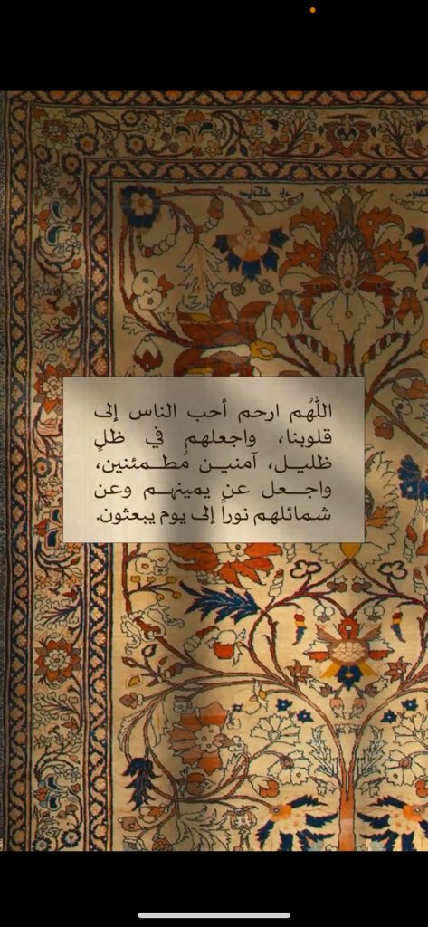 آلاء الشهاب tweet media