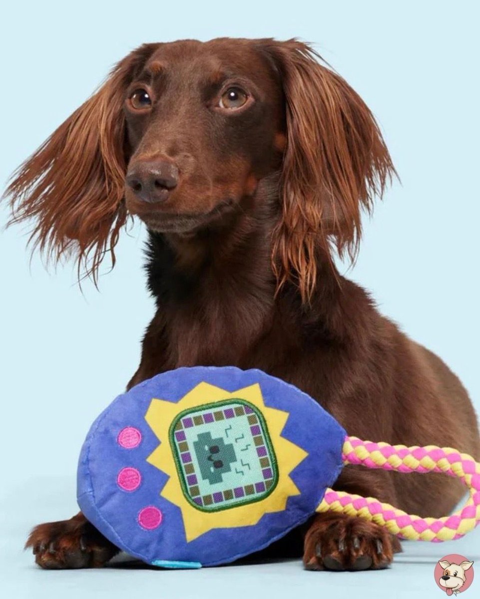 Feed it, play with it, love it 🐾✨
The Bark Gnawmagotchi Plush Dog Toy is the throwback toy your pup didn’t know they needed—retro fun with squeaks, crinkles, and nonstop entertainment 🎮🐶

Shop Now:
💻poshpuppyboutique.com

#PoshPuppyBoutique #Doglover #DogBoutique