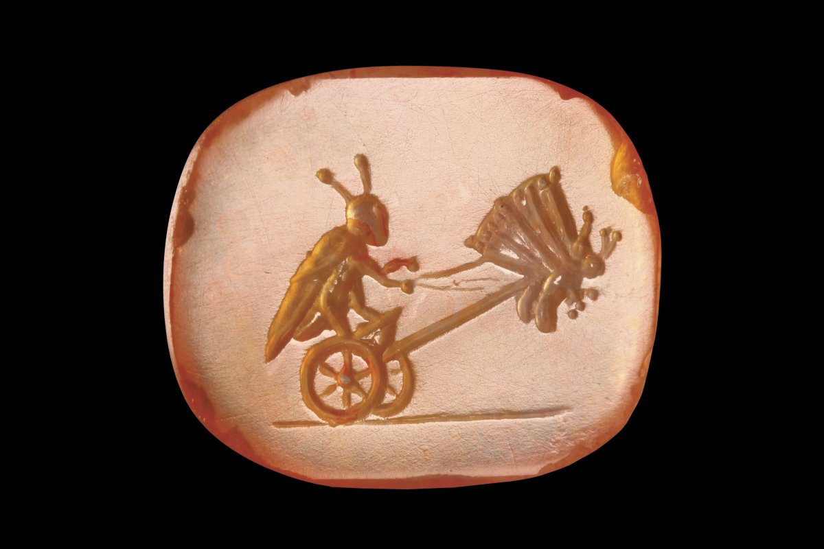 archaeologyart's tweet image. Roman Carnelian Intaglio of a Grasshopper Driving a Chariot, 1st Century BC