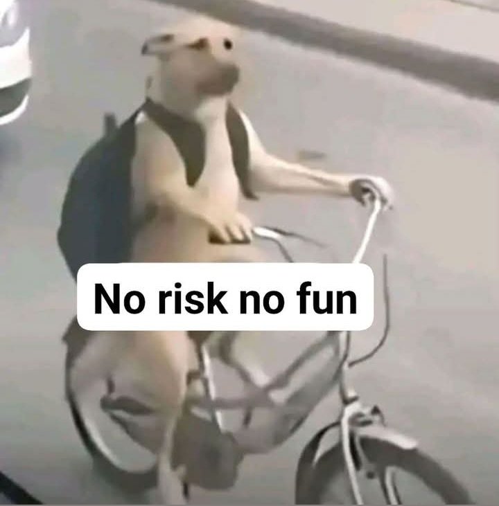 قبل ما اعمل اغبى قرار في حياتي