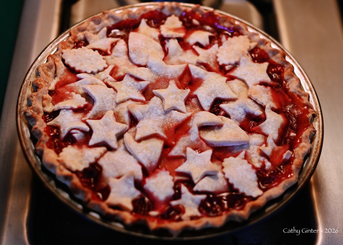 CathyGinter's tweet image. This morning’s bake: “Cosmos Chaos” Raspberry Pie for National Pie Day… because even though the world is crazy right now, we still need to be creative and enjoy life ~
#NationalPieDay #Pastry #Pie #Photography