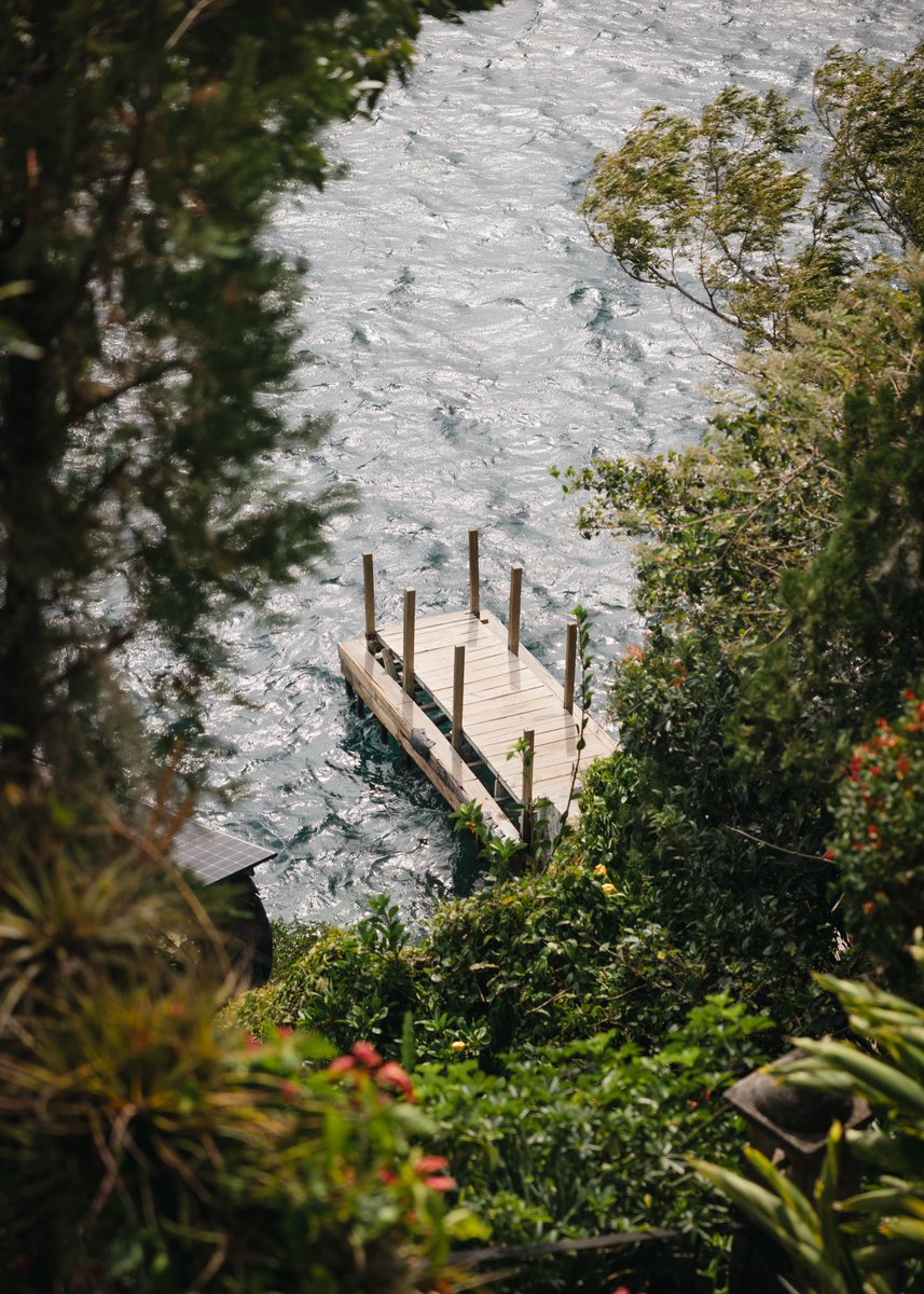 SONO 📸 tweet media