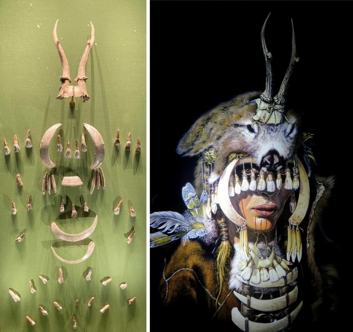 The shaman of Bad Dürrenberg are the remains of a 25-35 year old woman, who was burried 8600 to 9000 year ago in Germany. Around her, were the remains of an extraordinary head-dress, made from the bones and teeth of different animals such as deer, wild boar, crane and turtle