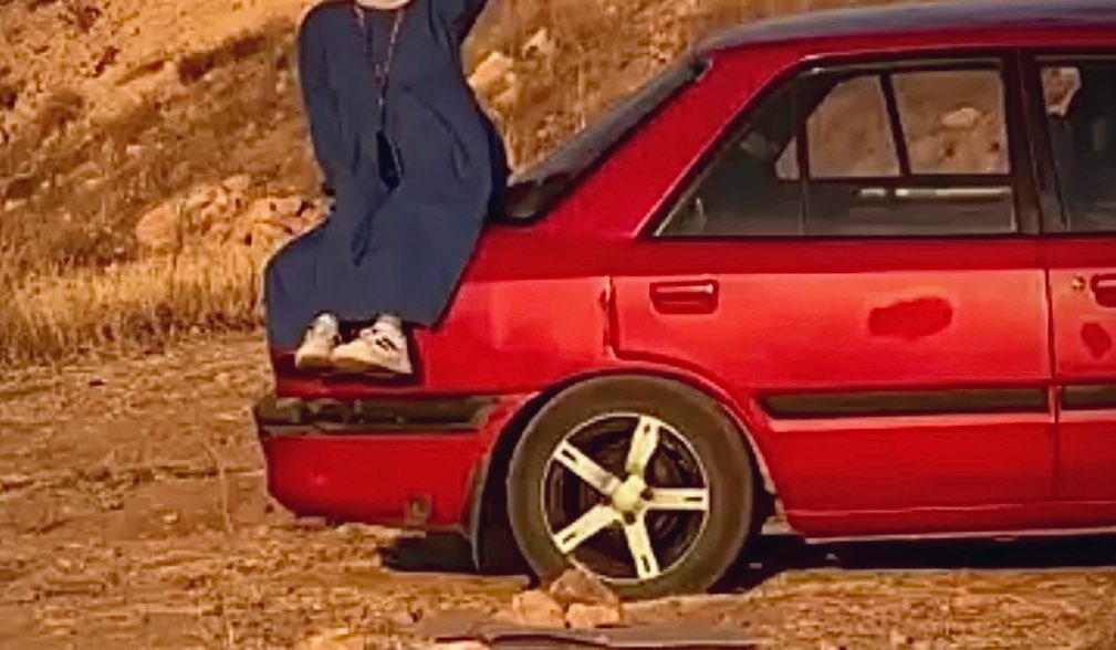 tofaş SLX ve kediler