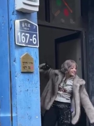 Studio_chuumie's tweet image. it's everywhere...