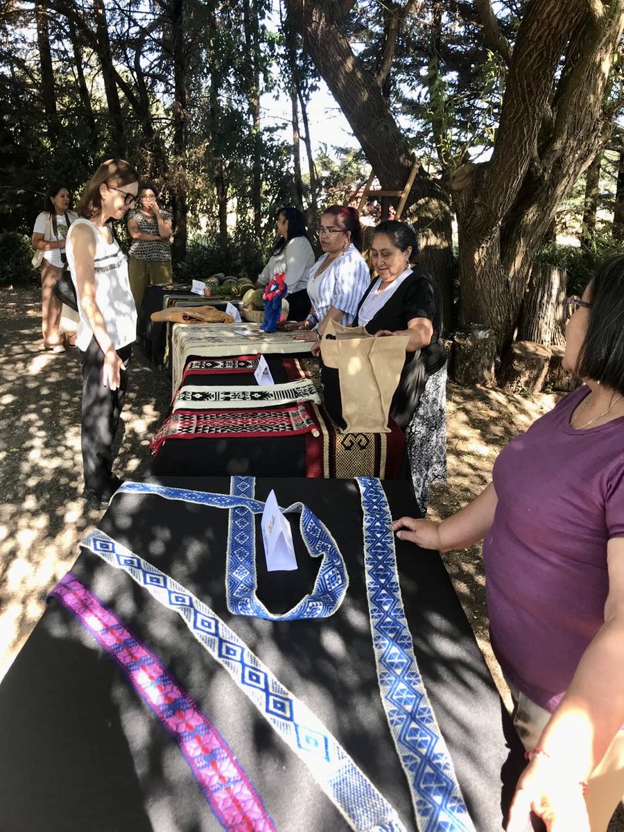 Claudia Gintersdorfer tweet media