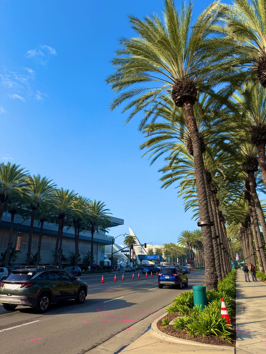 kikutani_music's tweet image. NAMM SHOW Day2

今日は晴れました🎸

#NAMM
#NAMMSHOW2026 
#ナムショー