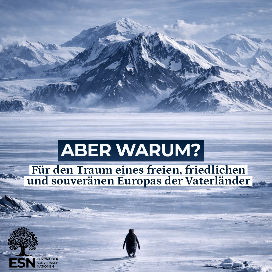 Der „faustische Pinguin“ geht derzeit in den sozialen Medien viral. Die Szene stammt aus Werner Herzogs Dokumentation „Encounters at the End of the World“: Ein einzelner Pinguin löst sich von seiner Gruppe und marschiert unbeirrbar ins Landesinnere, weg vom Meer, hinein in die