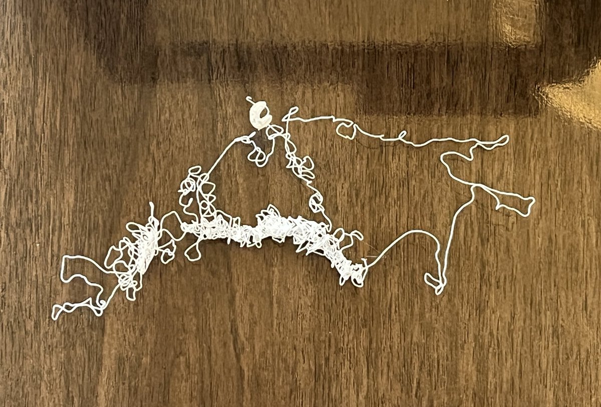 Deidre J Owen tweet media