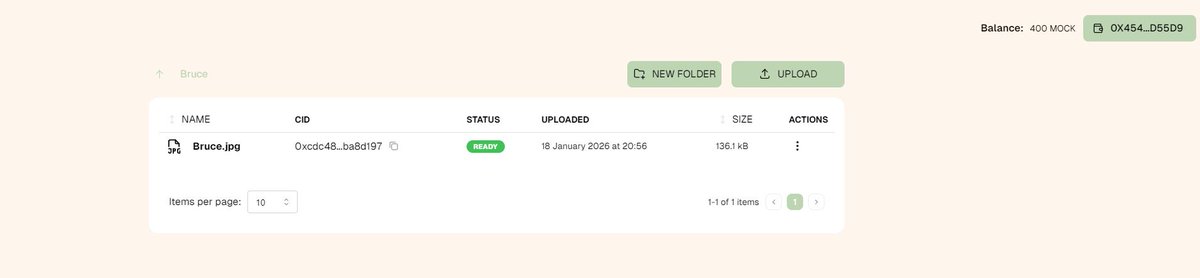 Just uploaded my first file “Bruce” to the DataHaven testnet and watched it get confirmed end-to-end. Seeing decentralized storage in action from bucket to final storage ID feels unreal. <a href="/DataHaven_xyz/">DataHaven 🫎</a> first Testnet