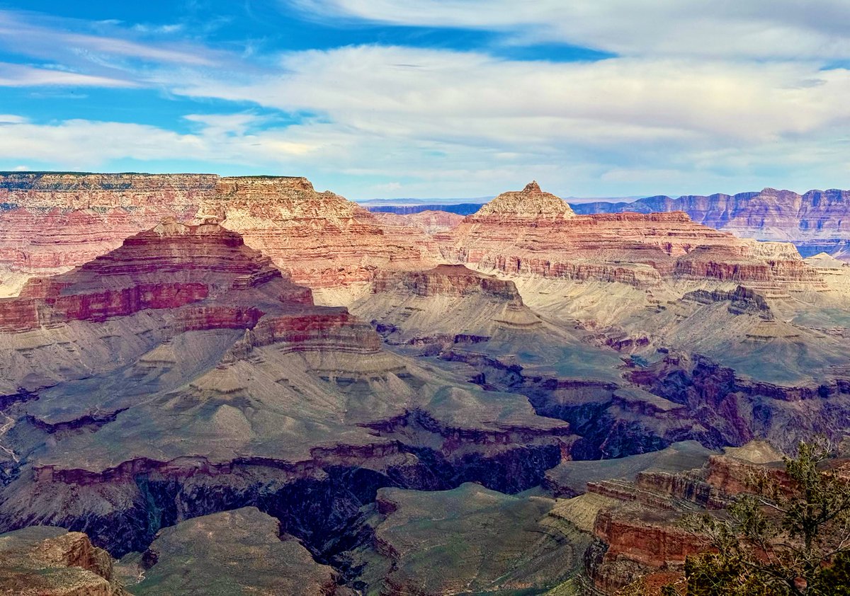 D Miller tweet media