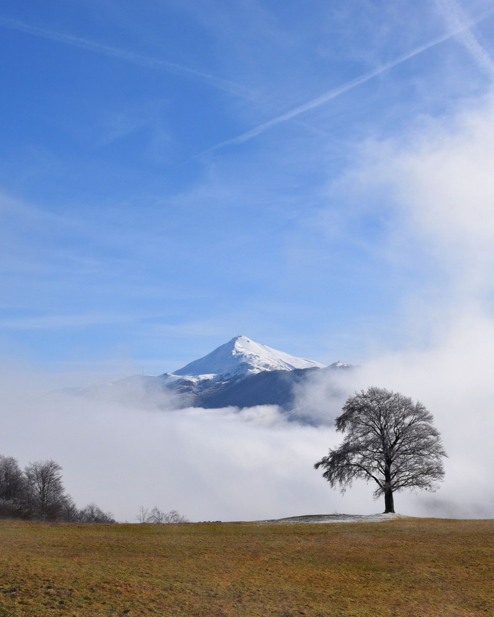 Ecco com'è vivere sopra le nuvole 😍

Spettacolare il panorama quest'oggi dalla Via Vandelli nei pressi dell'ormai celebre Capanno Guerri nei dintorni di Pievepelago!

Ph Giuliano Pasquesi