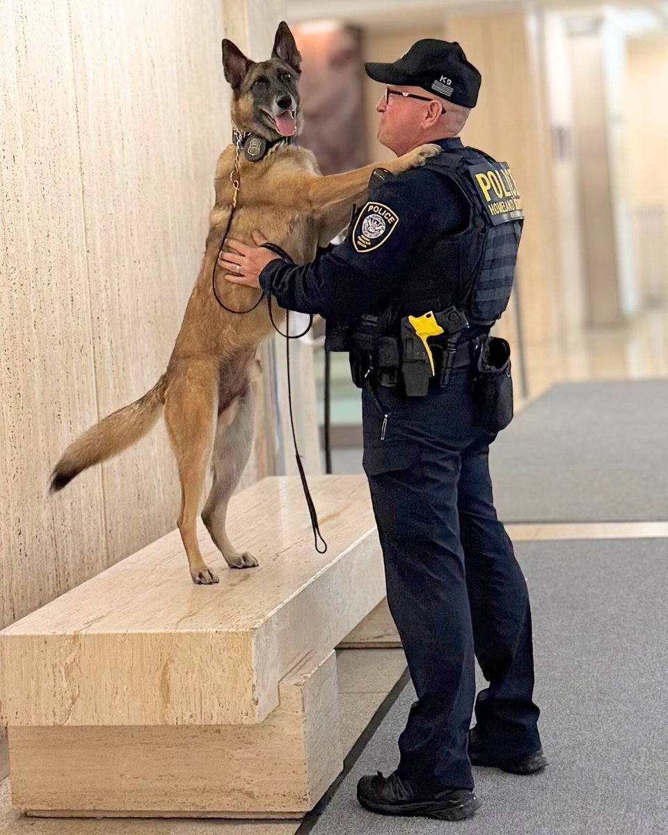 FPSDHS's tweet photo. Trust is at the core of every K9 team 🐾@DHSgov @FPSDHS Explosive Detection Canines show loyalty, bravery, and an unbreakable bond to #KeepAmericaSafe https://t.co/wfsJrcYuGW
