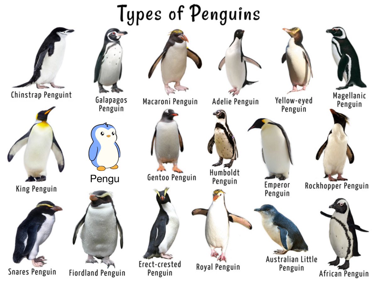 Pudgy Penguins (@pudgypenguins) / Posts / X