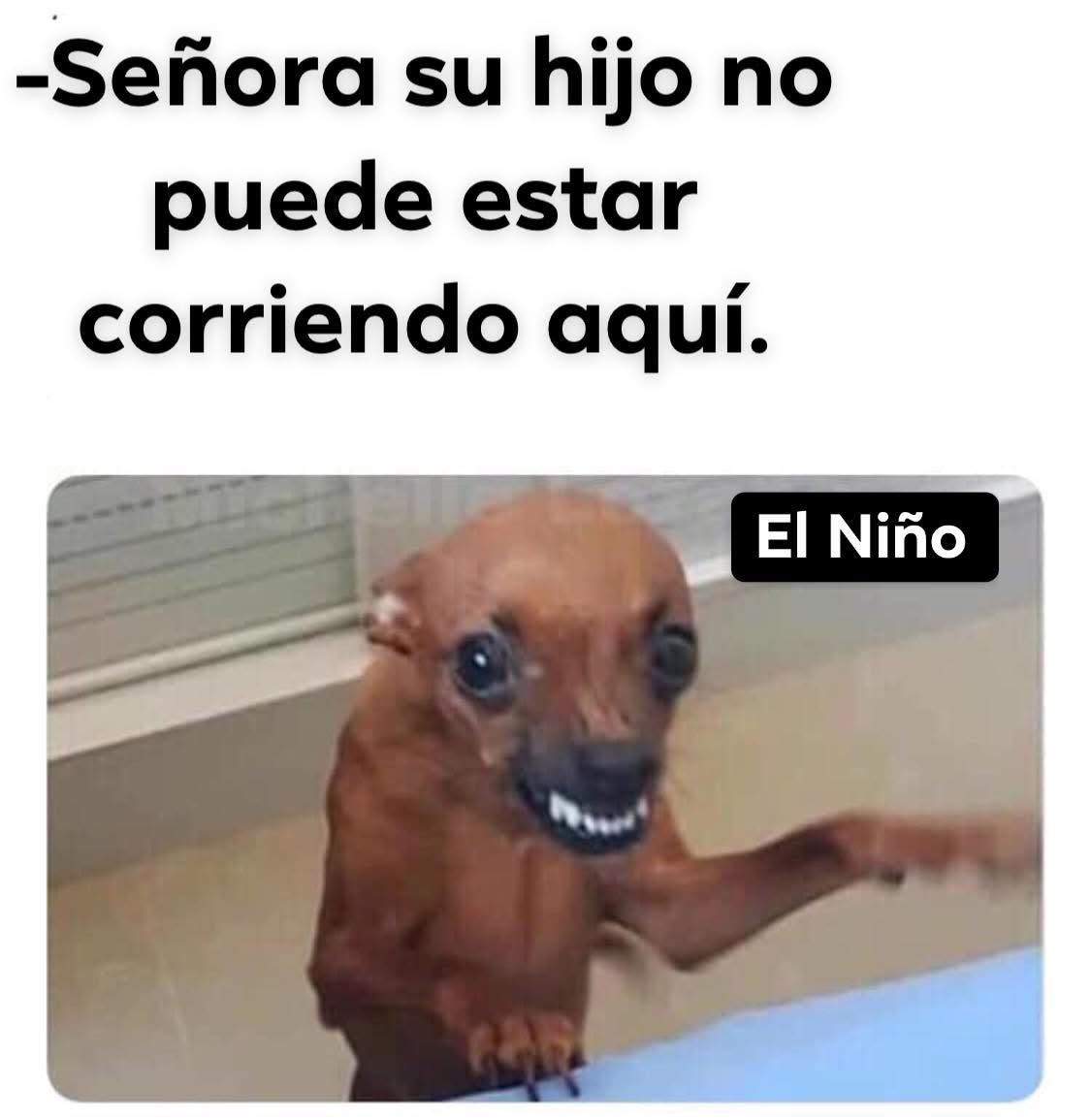 PediaNu's tweet image. Pinshis doñas 😂