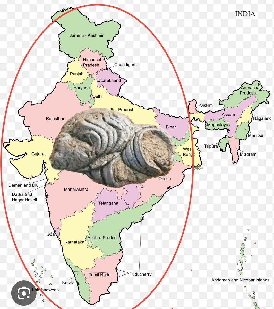 QamarZahir's tweet photo. @majorgauravarya Indian PM preparing for another surrender 😎👊 https://t.co/dqRDcp53ZS
