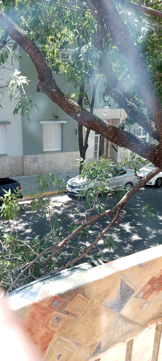 Lo bueno sería que cuando podan un árbol en una calle donde pasan colectivos y camiones <a href="/jorgemacri/">Jorge Macri</a> no dejen ramas gruesas colgando, aún a pedido de los vecinos porque pueden pasar éstas cosas. Luis Belaustegui al 4900. Para cuando la desratización?