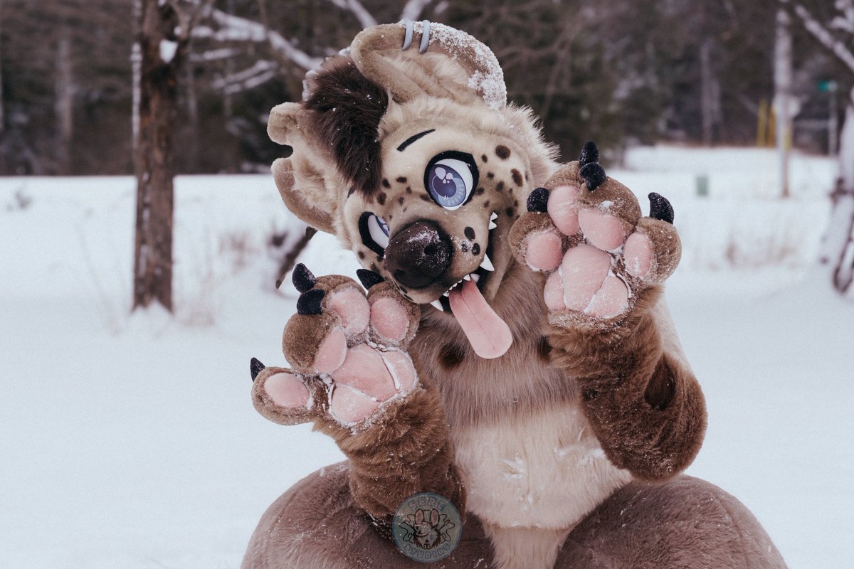 New guy! Had a lot of fun getting pics of him in the snow. 🥰