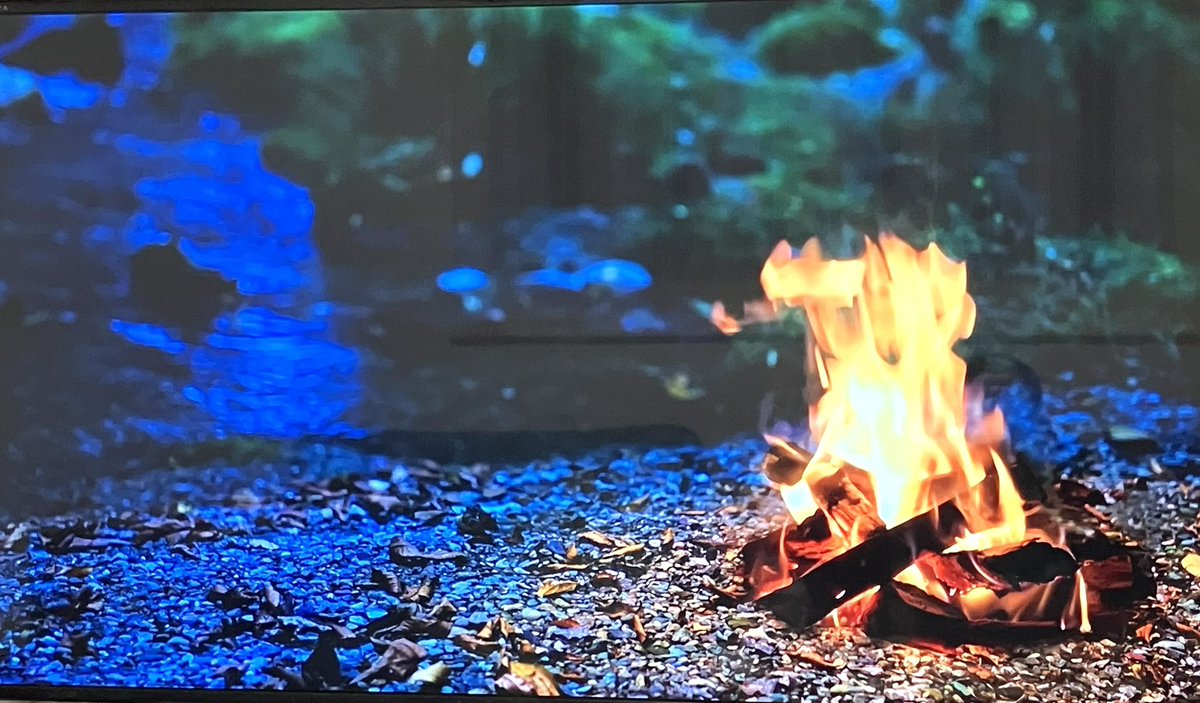 睡眠待ち😴稽古して耳鼻科で検査と注射💉息子と新羅会館テッチャン鍋。かみさんにあんみつ買って帰宅。銭湯♨️でサウナ。麦湯割り飲んで寝ようしたが眠れずYouTubeで金村義明さんのトーク観たら笑いの勉強になり覚醒🤪焚き火観ながら麦湯割り🤣どうしてオープニング構成するか考えたら眠れない🤣