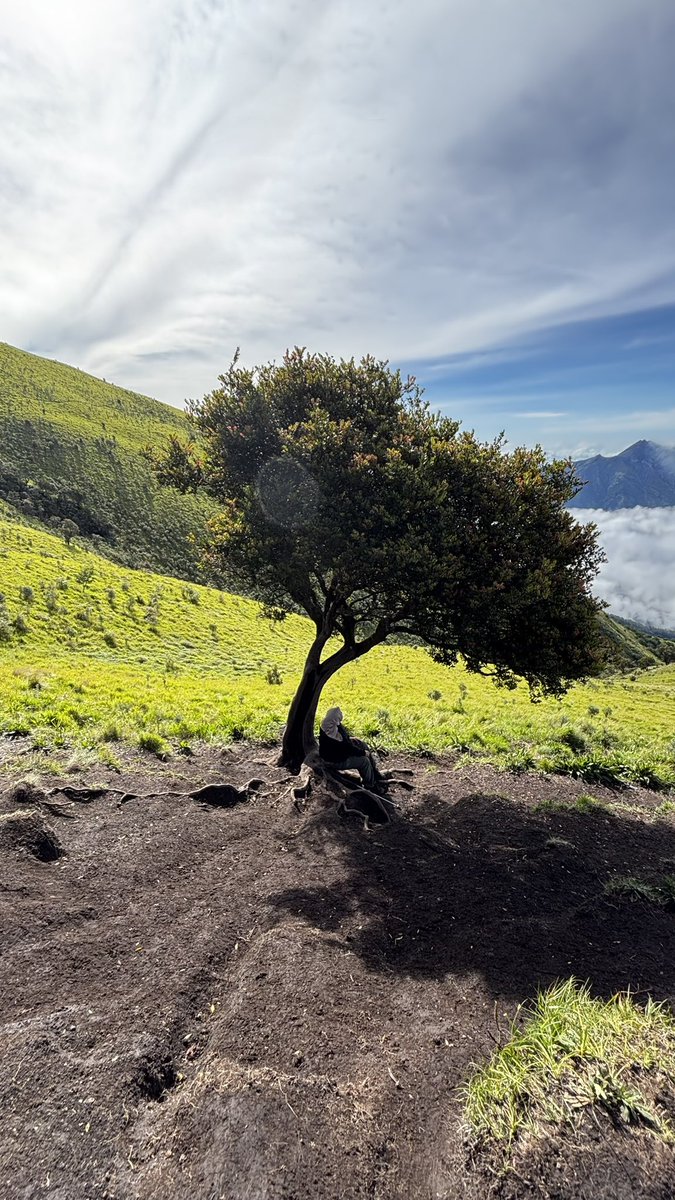 tidak ada yang bertahan dengan kepribadianku se lama kamu, tapi aku memilih untuk menerima rasa sakit melepaskanmu hari ini untuk menyelamatkan ku dari derita yang lebih berat dikemudian hari