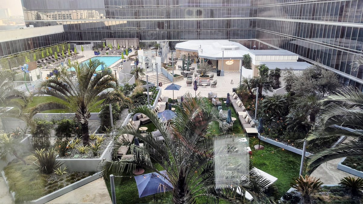 ☯️TheBassPlayer❤️‍🔥 tweet media