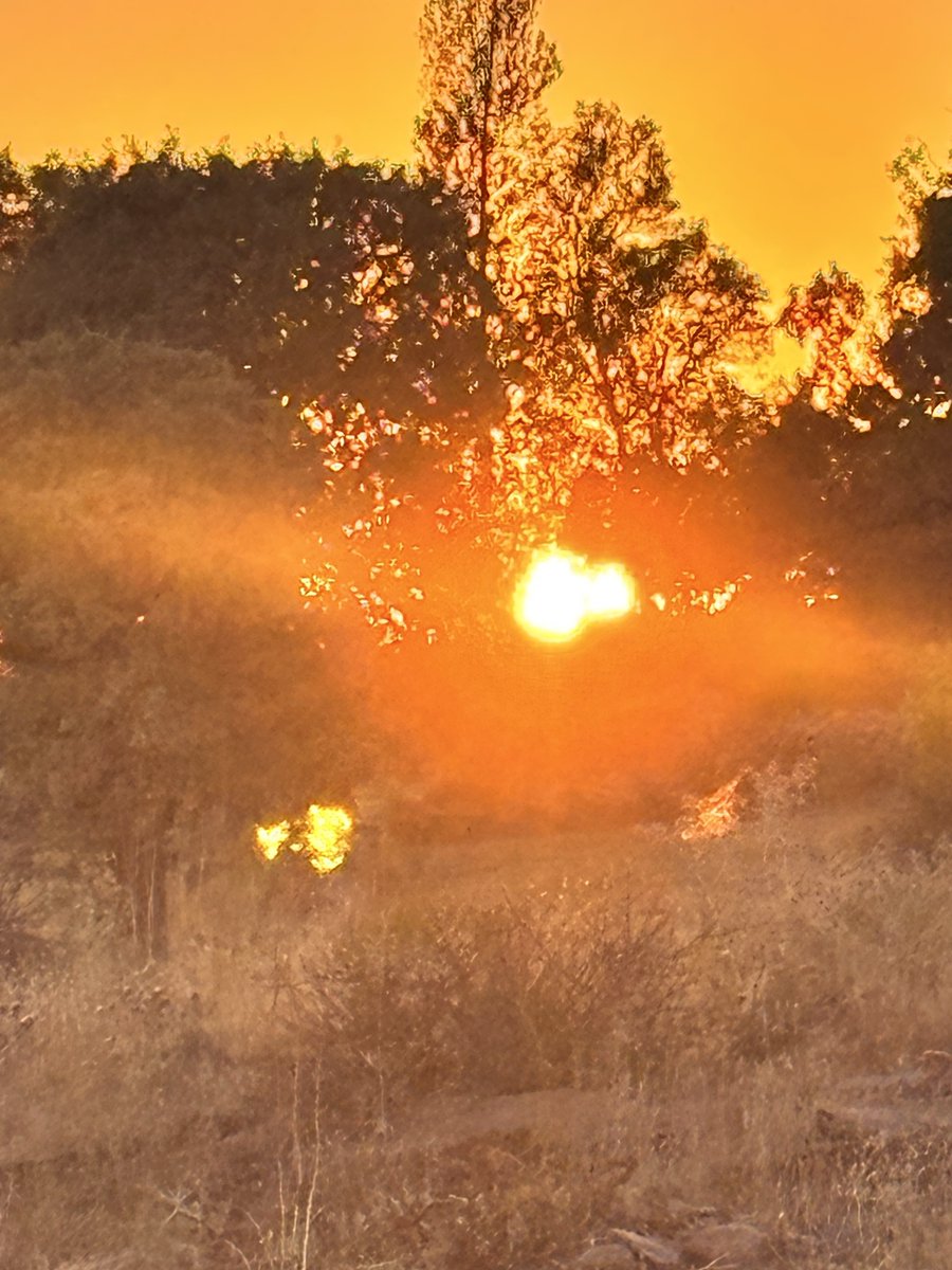 Bir sen kaldın geriye !