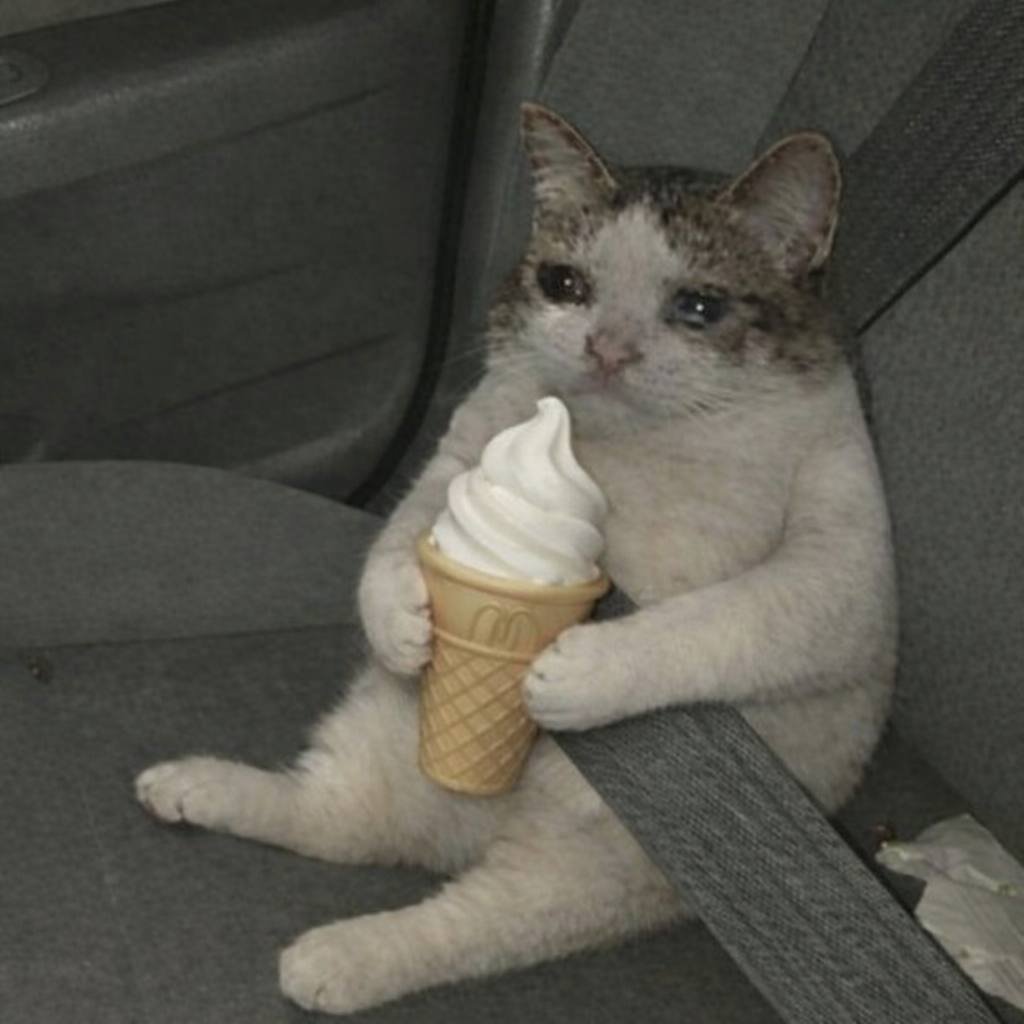 today's treat of choice is a cone ok