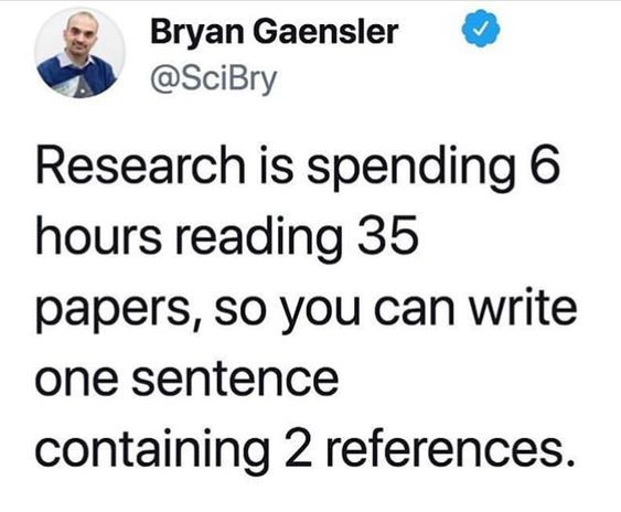 Scholarship for PhD tweet media