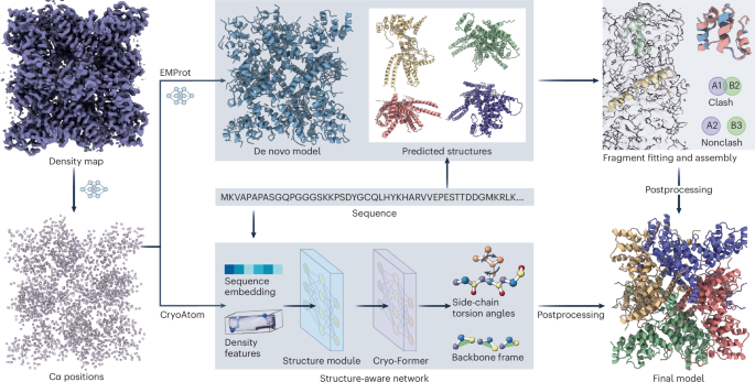 NatureSMB's tweet photo. New online! When cryo-EM modeling meets structure prediction https://t.co/X6T4w3090P https://t.co/DSvk8CR3uo