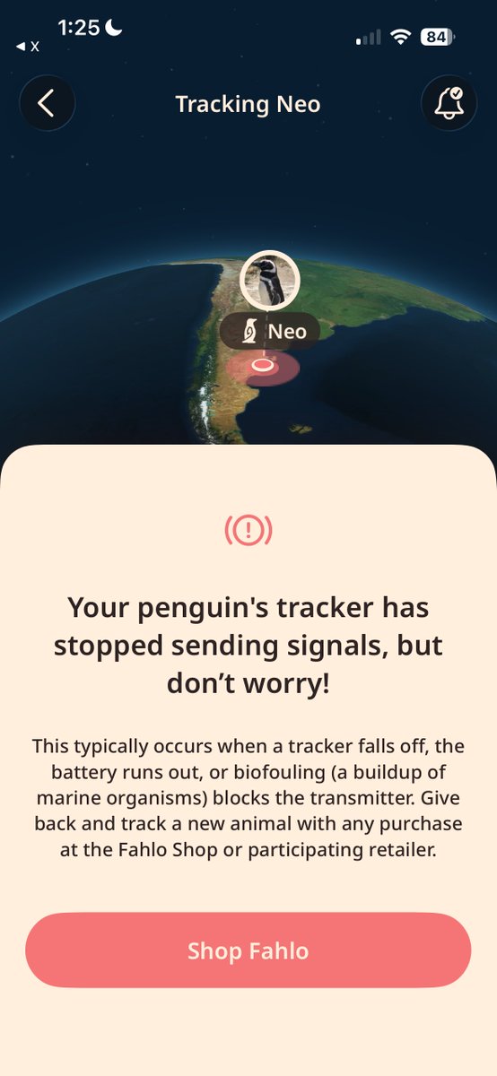 birdwarehouse_'s tweet image. i can’t keep living like this….on this emotional rollercoaster………….i’ll be on my 4th penguin after this