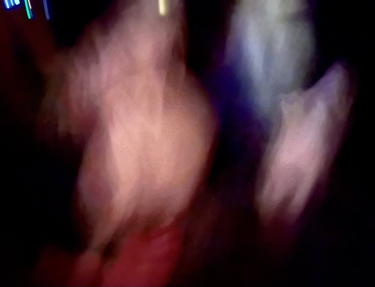 朝までカラオケオールして楽しかったけど、撮った写真ほとんど使い物にならなくてワロス。
