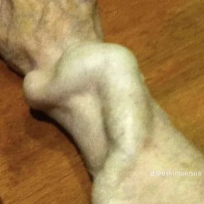 hubertbaron9's tweet photo. #NewProfilePic https://t.co/3duKZpvKlD