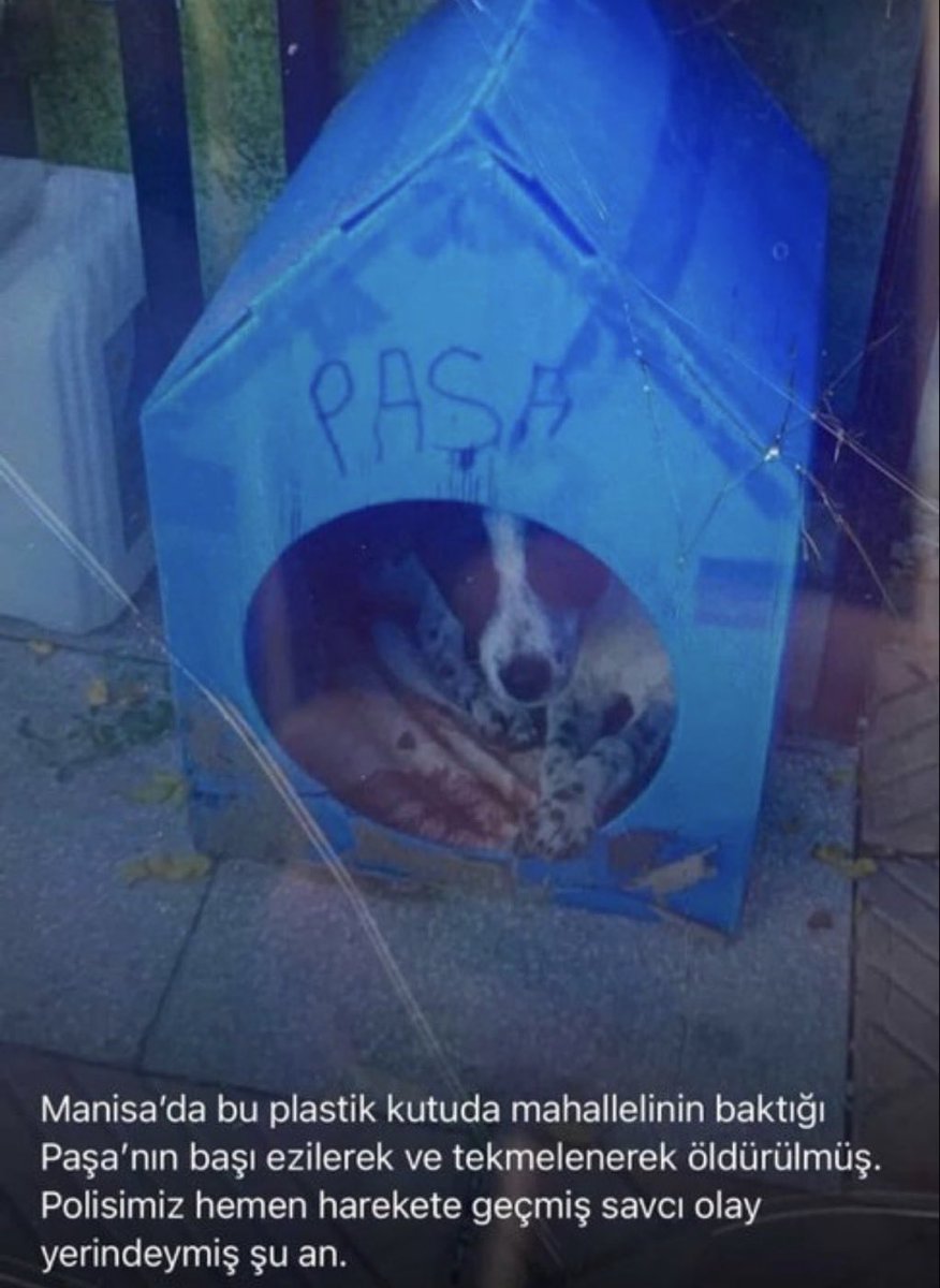 Srpulsy's tweet image. Paşa, kulübesinden kaçmaya bile fırsat bulamadı, dakikalarca sopa ve tekme ile darp edilerek zalimce öldürüldü!
Katilin yanında çocuğu da vardı.
Kim tehlikeli?
Kim vahşi?
Kim acımasız?

Salınmış, aramızda…
@ManisaValiligi
@TPDBilgi
@saglikbakanligi
@tcailesosyal
#PaşaİçinAdalet