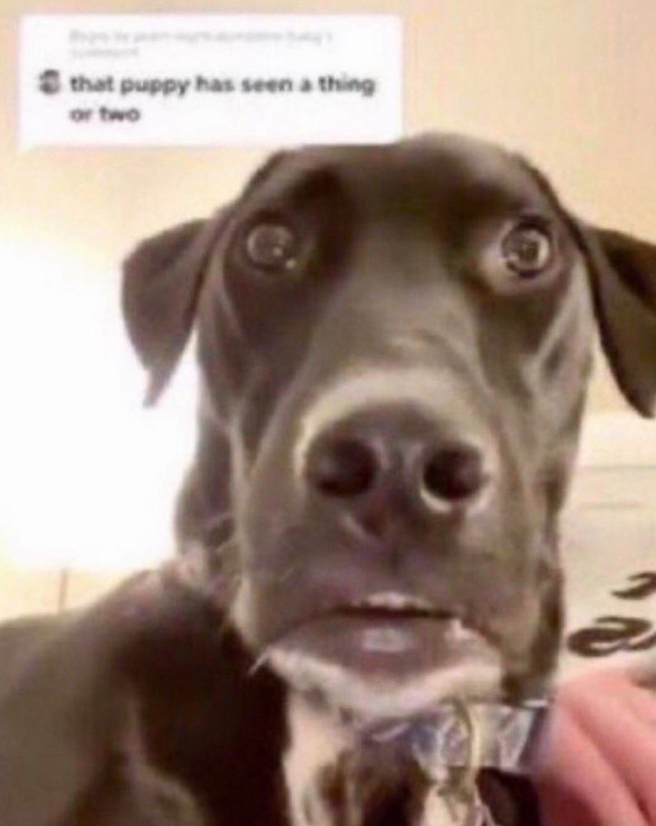 the concept of the ‘olympics’ being ‘close’