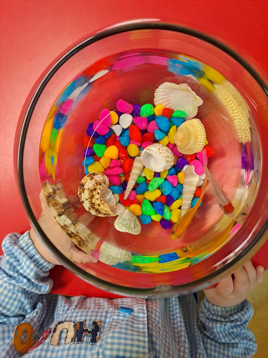 Os presentamos a nuestros nuevos amigos de la Escuela Infantil: Sándwich y Pato, dos pececitos súper simpáticos.❤️
Aprendemos a cuidar, a observar, a tener calma y paciencia.
Miradas curiosas y peces de colores. Pura ternura en cada burbuja🫧