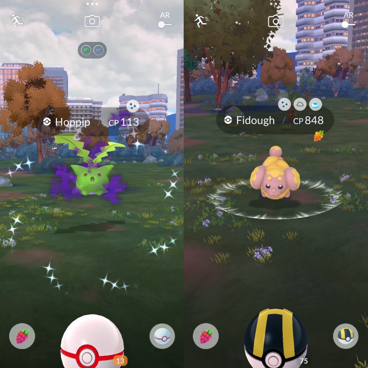 🔥 2nd Shiny Fidough &amp; New Shadow Shiny 🔥

#PokemonGO