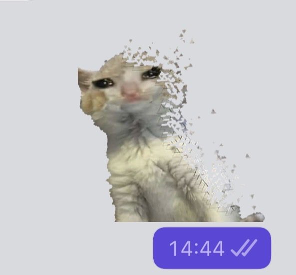 sou ele
o gatinho evanescente