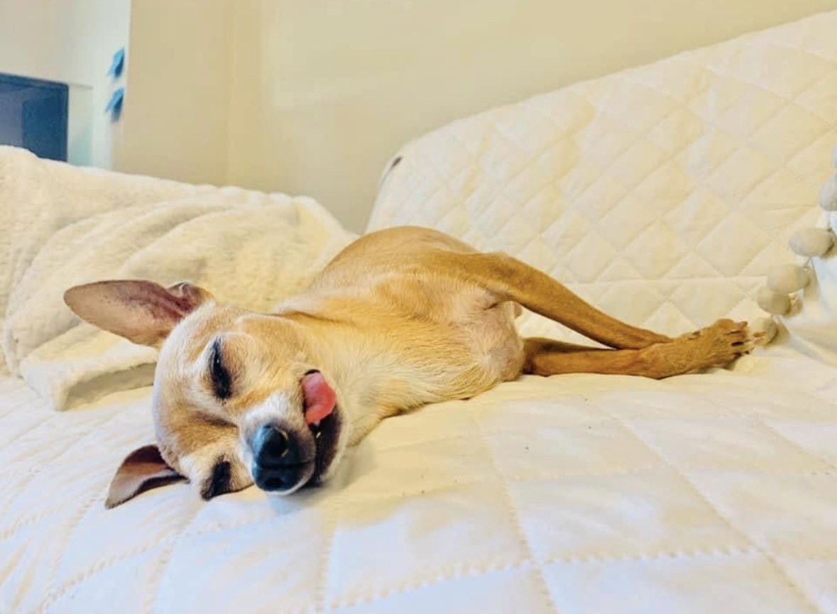 Hello from heaven🌈And happy Friday for everyone