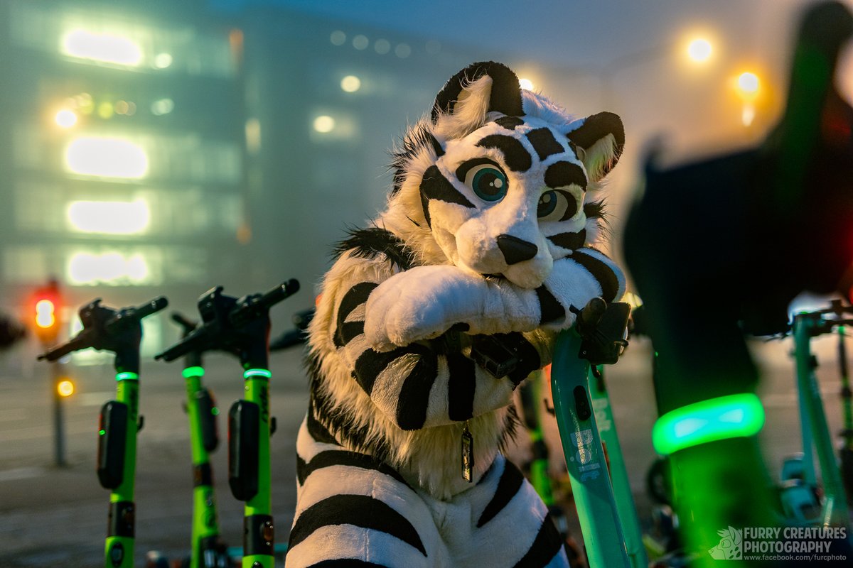 Furry C. Photo tweet media