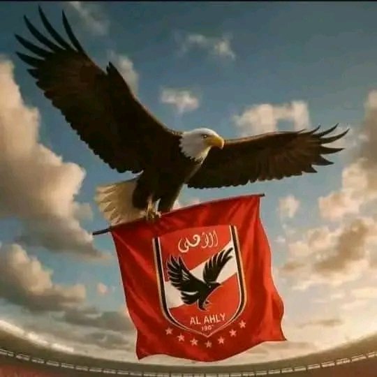 والله إن فخرى بك يا أهلى لا يبهت، 
كلما انتصرت أزهرت السماء فرحاً ❤🌎🦅