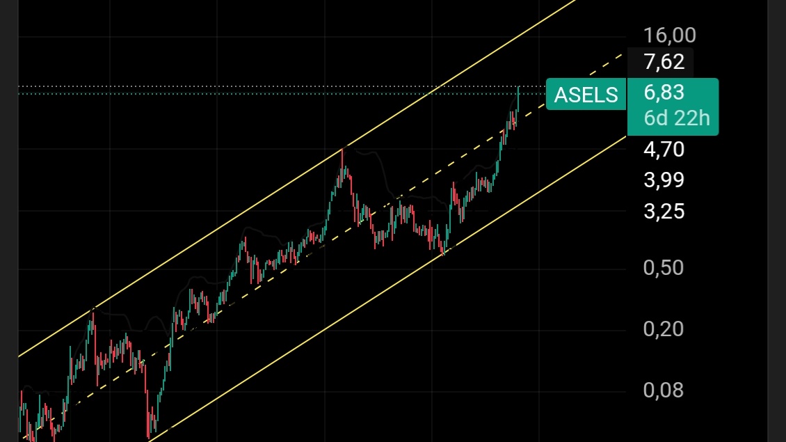 Pırlanta tweet media