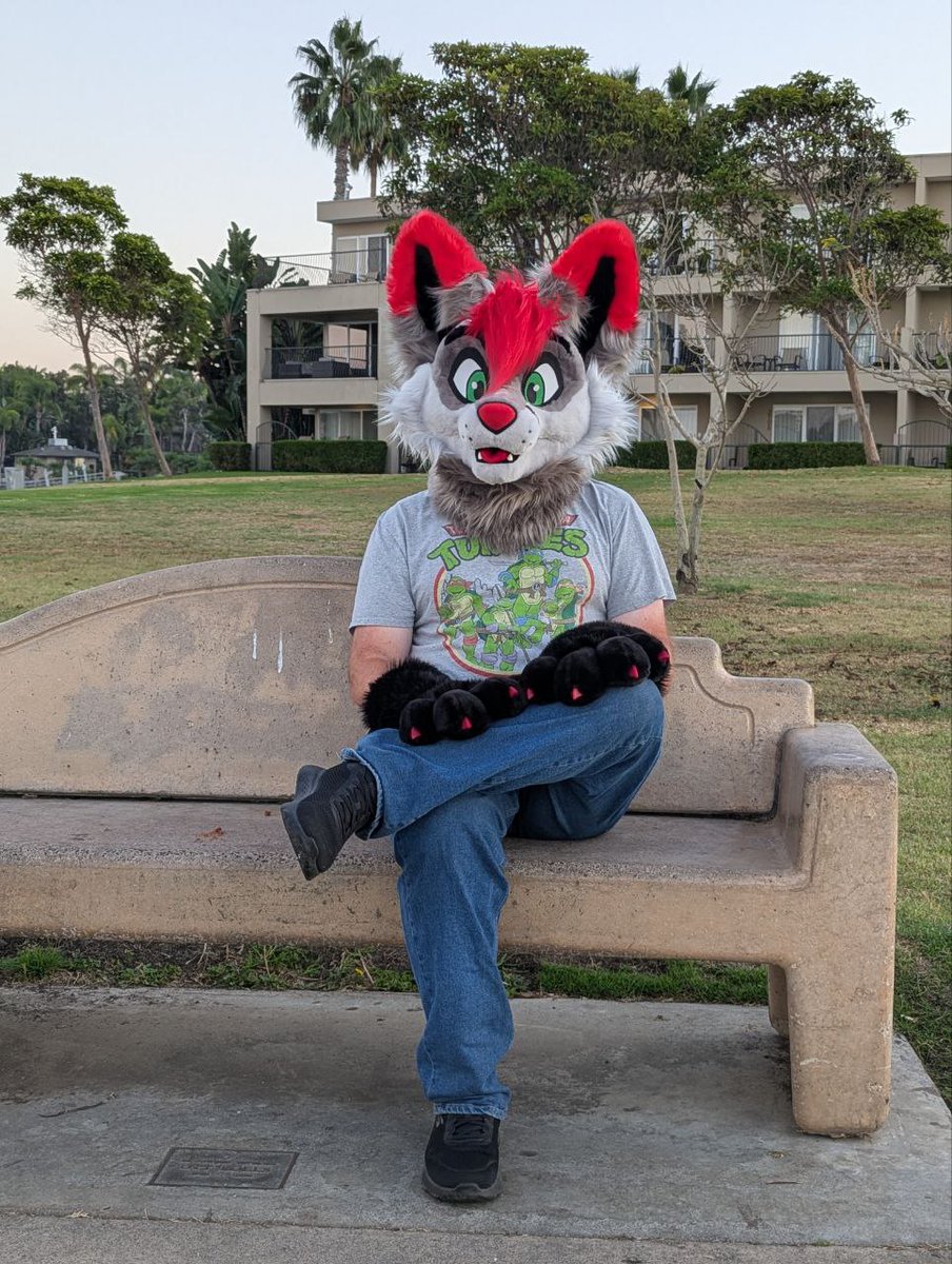 NokieMissions's tweet photo. Wanna sit and chat with foxo?

#FursuitFriday #furryfandom #furries #fursuits #fursuiters #DailyDHC https://t.co/AU35WbGiph