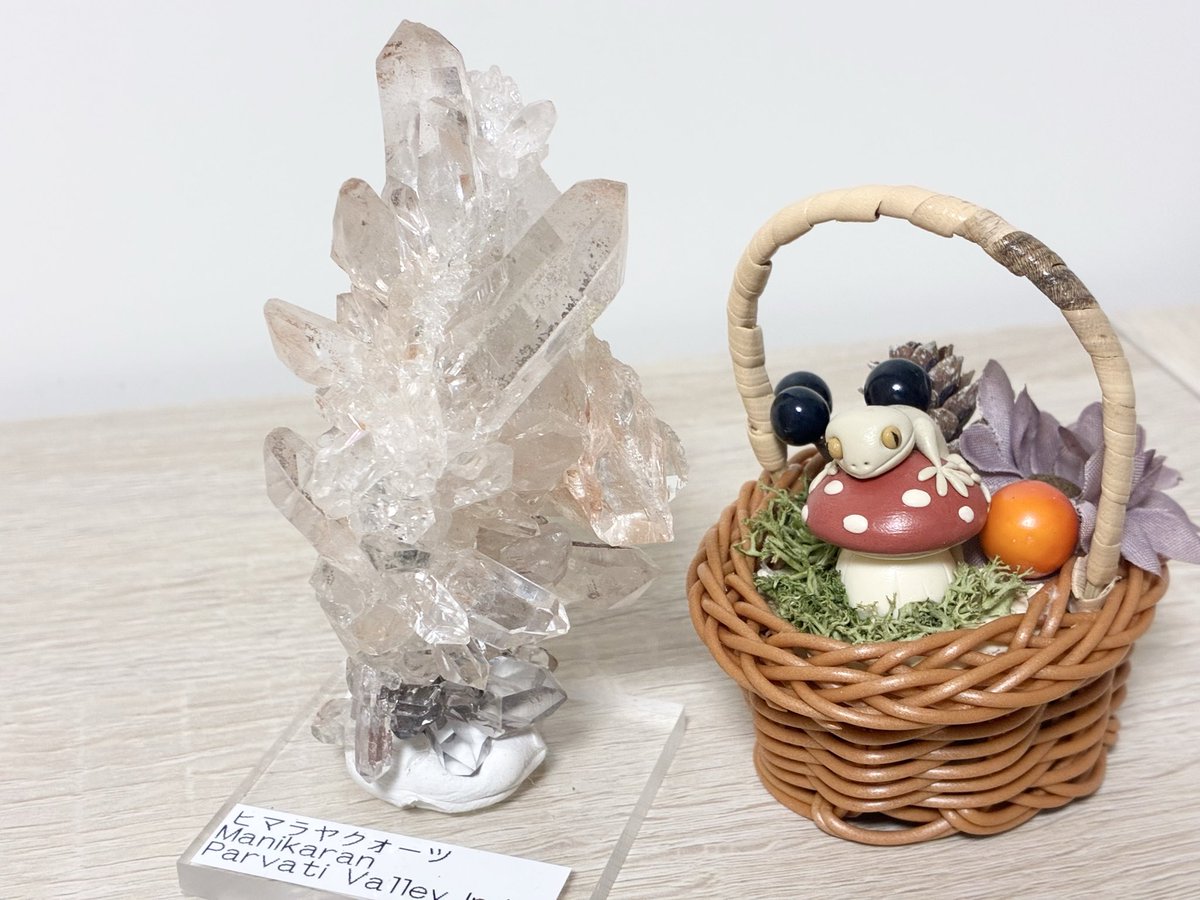 北斗七星 tweet media